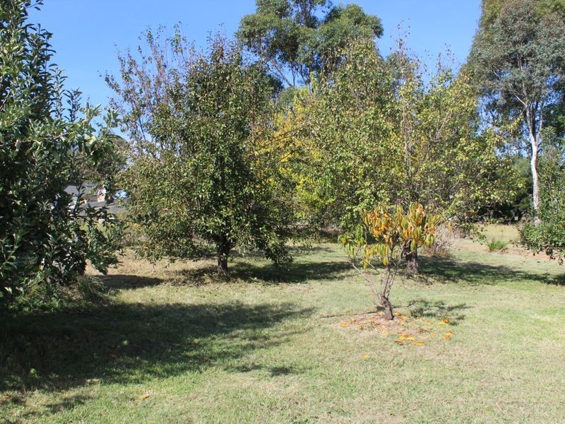 1769 Myrtle Mountain Road, Candelo NSW 2550