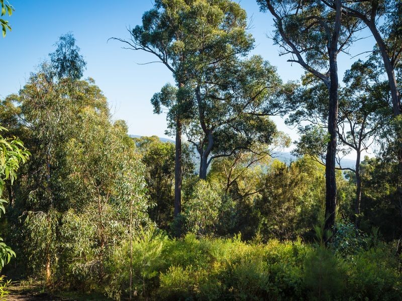 1245 Sapphire Coast Drive, Bournda NSW 2550