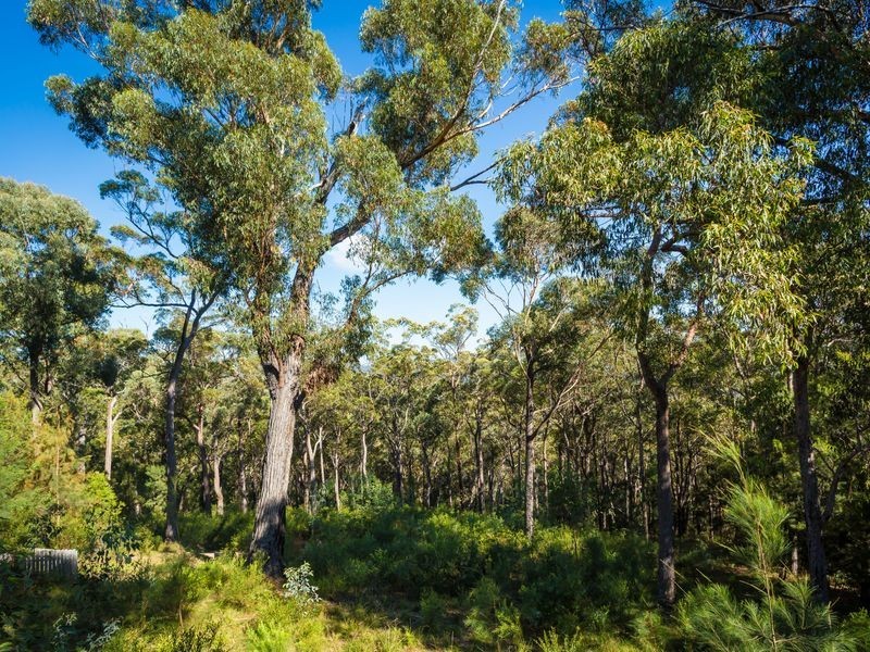 1245 Sapphire Coast Drive, Bournda NSW 2550