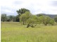 Lot 1 DP 6 Charlotte Street, Cobargo NSW 2550