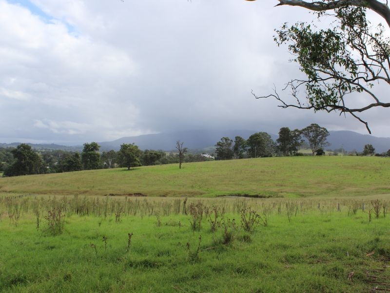 Lot 1 DP 1 Charlotte Street, Cobargo NSW 2550
