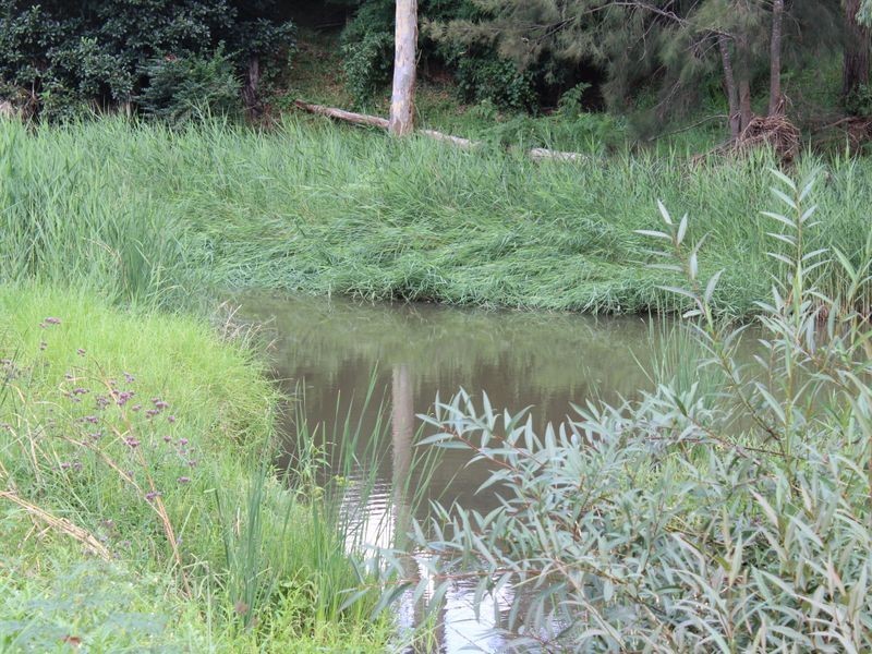 Lot 1 DP 1 Charlotte Street, Cobargo NSW 2550