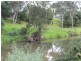 Lot 2 DP 3 Charlotte Street, Cobargo NSW 2550
