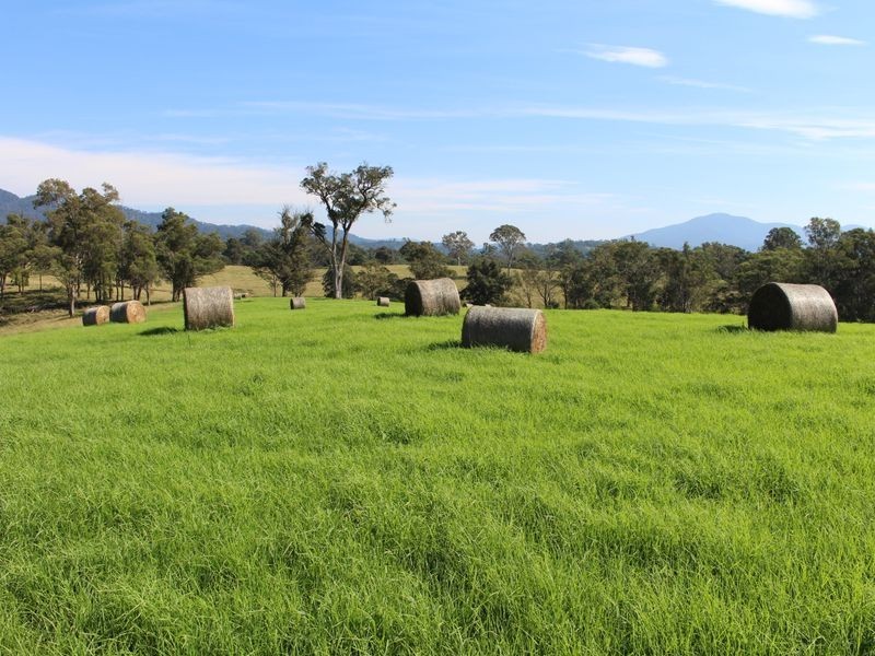 10970 Princes Highway, Cobargo NSW 2550