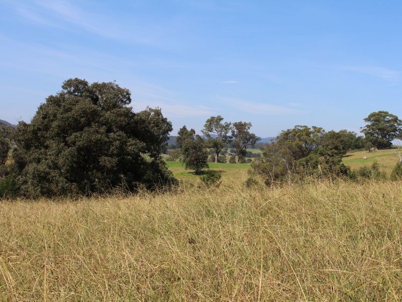 10970 Princes Highway, Cobargo NSW 2550