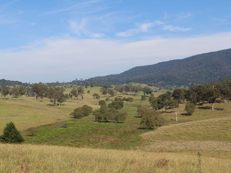 10970 Princes Highway, Cobargo NSW 2550