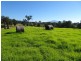 10970 Princes Highway, Cobargo NSW 2550