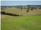 10970 Princes Highway, Cobargo NSW 2550