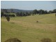 10970 Princes Highway, Cobargo NSW 2550