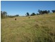 10970 Princes Highway, Cobargo NSW 2550