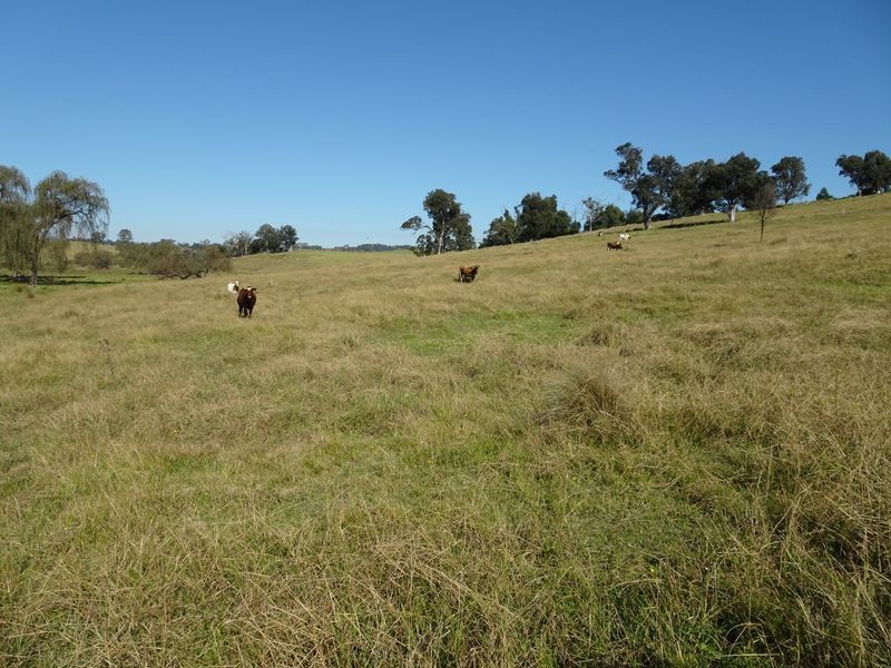 10970 Princes Highway, Cobargo NSW 2550