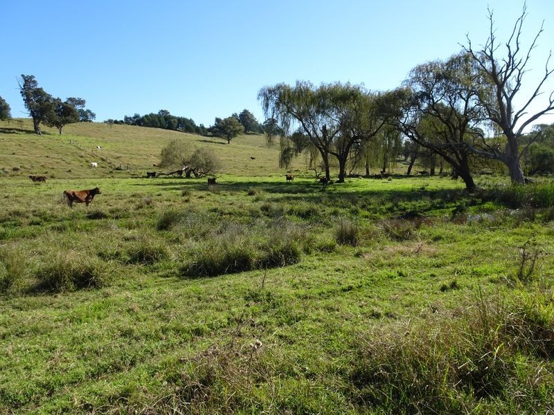 10970 Princes Highway, Cobargo NSW 2550