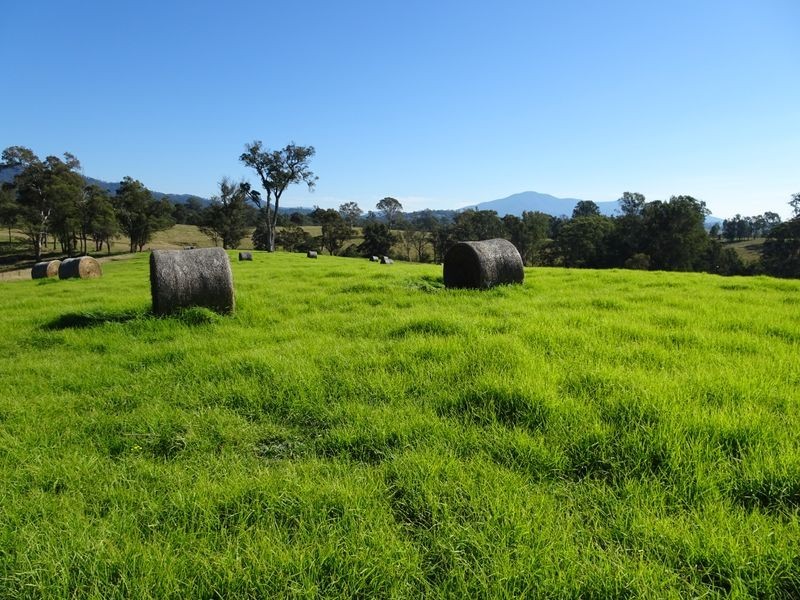 10970 Princes Highway, Cobargo NSW 2550