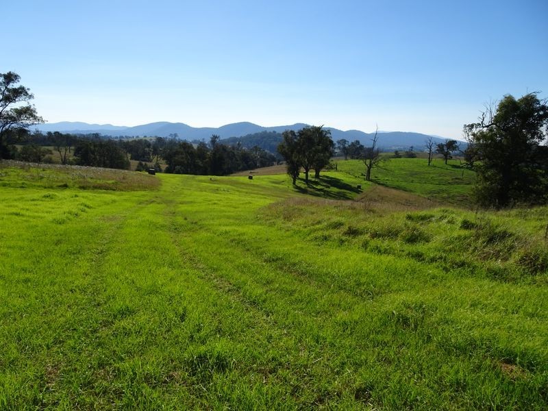 10970 Princes Highway, Cobargo NSW 2550