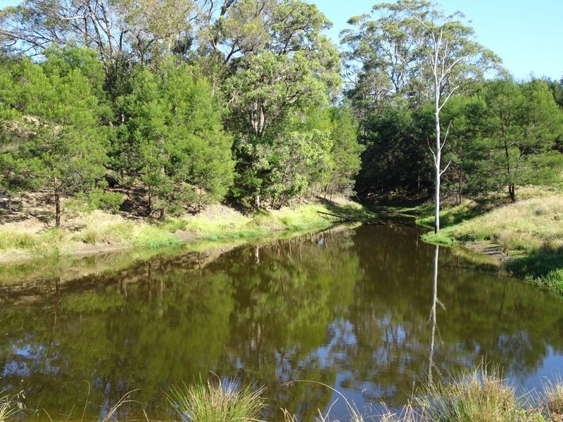 10970 Princes Highway, Cobargo NSW 2550