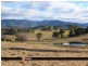 Lot 1 Cnr Charlotte St & Princes Highway, Cobargo NSW 2550