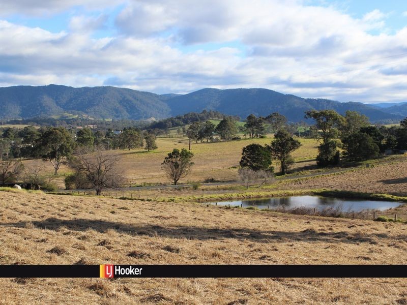 Lot 1 Cnr Charlotte St & Princes Highway, Cobargo NSW 2550