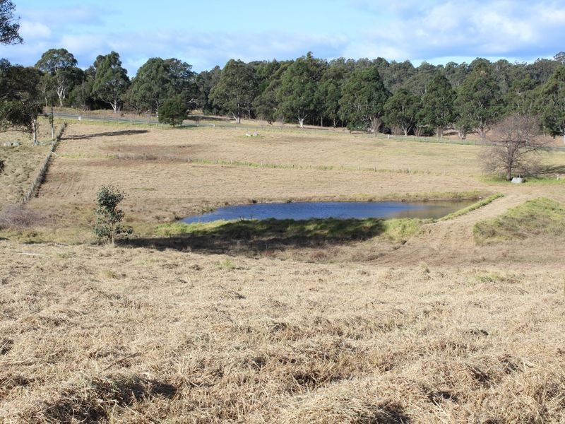 Lot 1 Cnr Charlotte St & Princes Highway, Cobargo NSW 2550