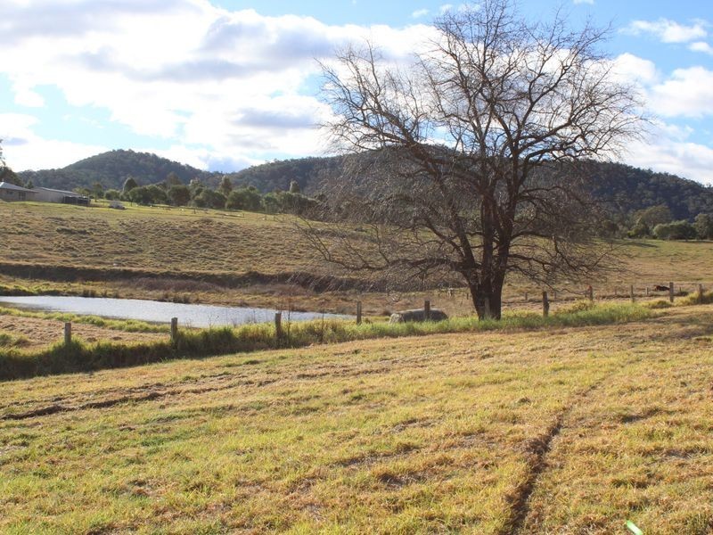 Lot 1 Cnr Charlotte St & Princes Highway, Cobargo NSW 2550