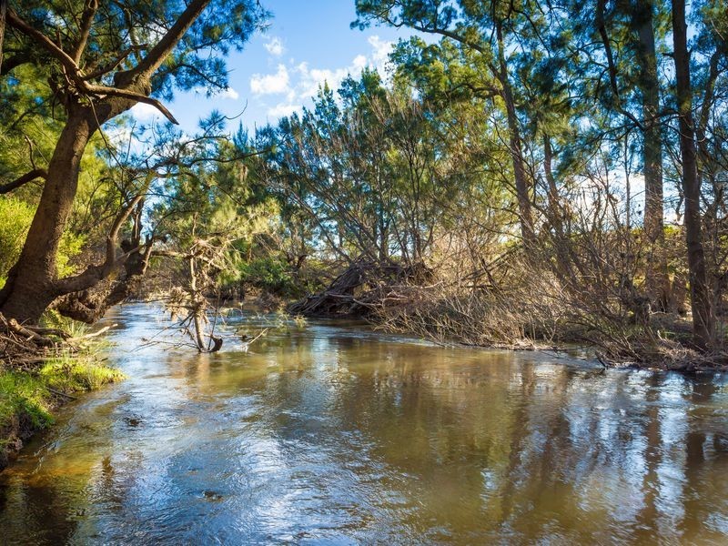 100 Corridgeree Road, Bega NSW 2550