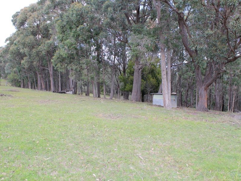 212 Black Range Road, Bega NSW 2550