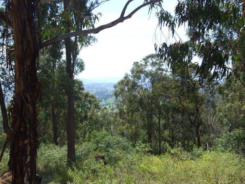 Lot 150 Dr George Mountain Road, Tarraganda NSW 2550