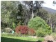 3919 Snowy Mountains Highway, Bemboka NSW 2550