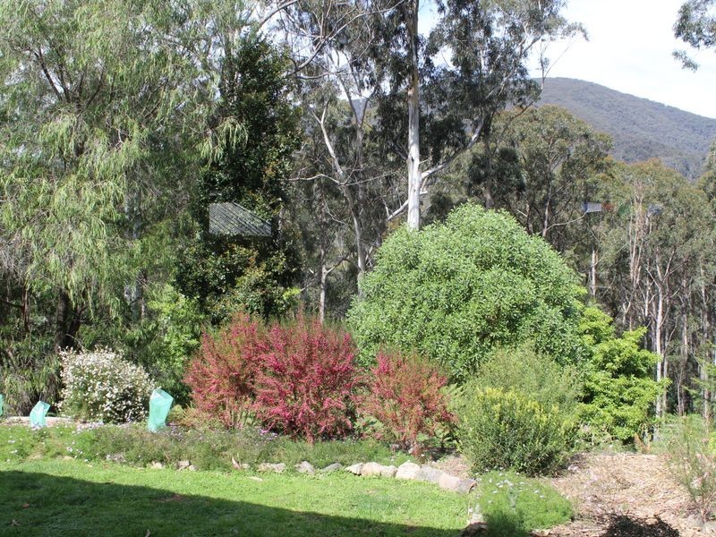 3919 Snowy Mountains Highway, Bemboka NSW 2550
