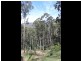 3919 Snowy Mountains Highway, Bemboka NSW 2550