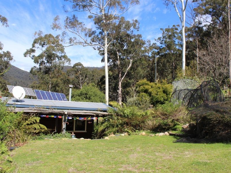 3919 Snowy Mountains Highway, Bemboka NSW 2550