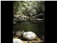 3919 Snowy Mountains Highway, Bemboka NSW 2550