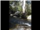 3919 Snowy Mountains Highway, Bemboka NSW 2550