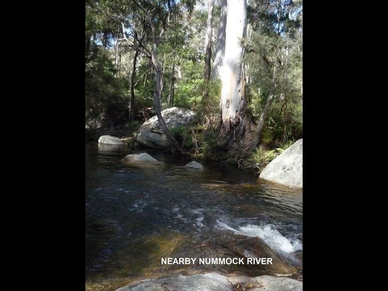 3919 Snowy Mountains Highway, Bemboka NSW 2550