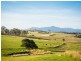 Lot 26 Slaters Lane, Candelo NSW 2550