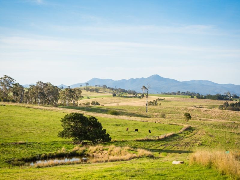 Lot 26 Slaters Lane, Candelo NSW 2550