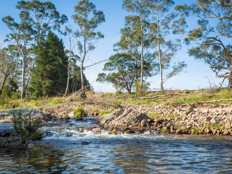 Lot 26 Slaters Lane, Candelo NSW 2550