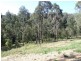 50 Jellat Way, Kalaru NSW 2550