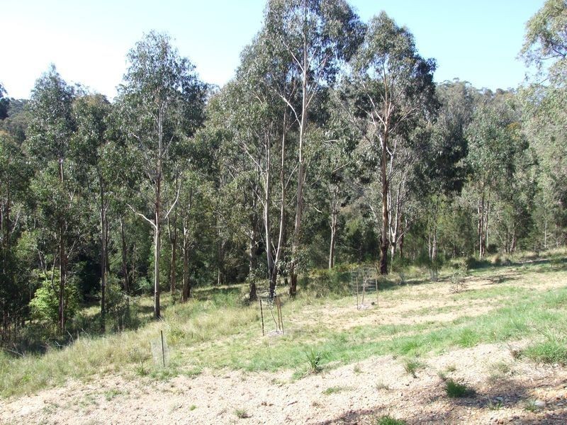 50 Jellat Way, Kalaru NSW 2550