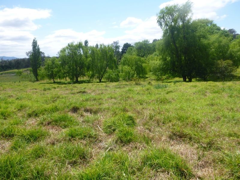 860 Tantawangalo Mountain Road, Tantawangalo NSW 2550