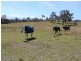 15 Newlyns Place, Bega NSW 2550