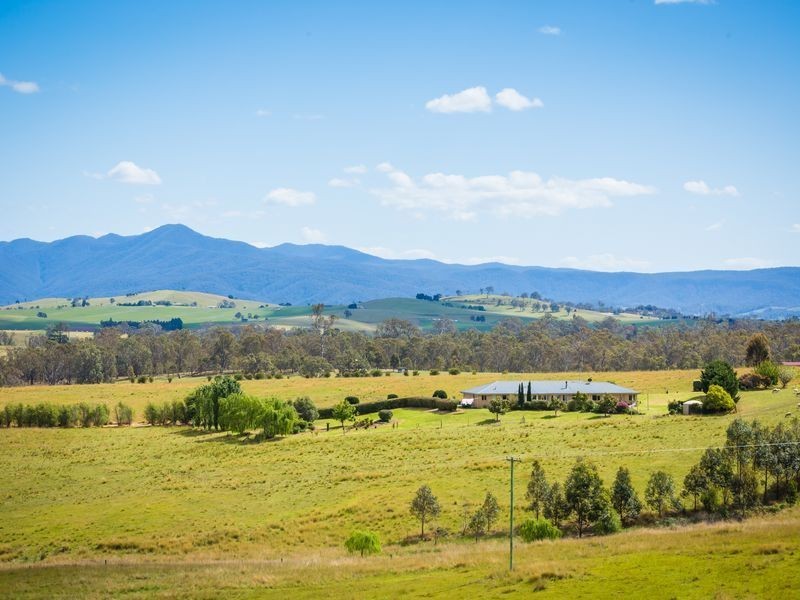 455 Slaters Lane, Candelo NSW 2550
