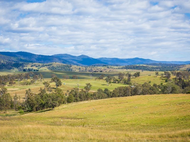455 Slaters Lane, Candelo NSW 2550