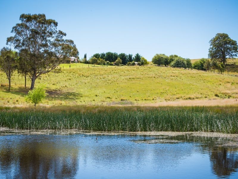 455 Slaters Lane, Candelo NSW 2550