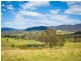 455 Slaters Lane, Candelo NSW 2550
