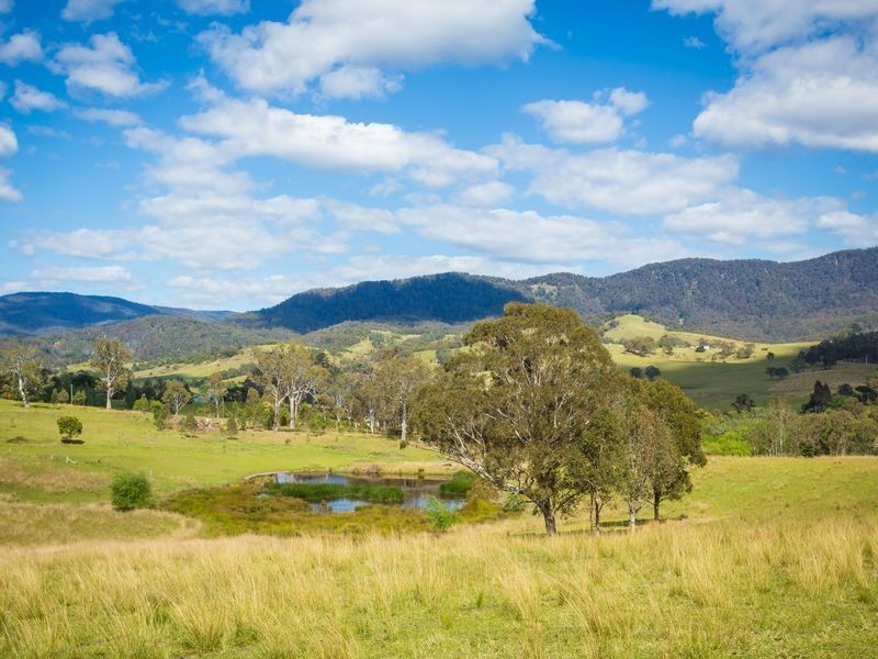 455 Slaters Lane, Candelo NSW 2550