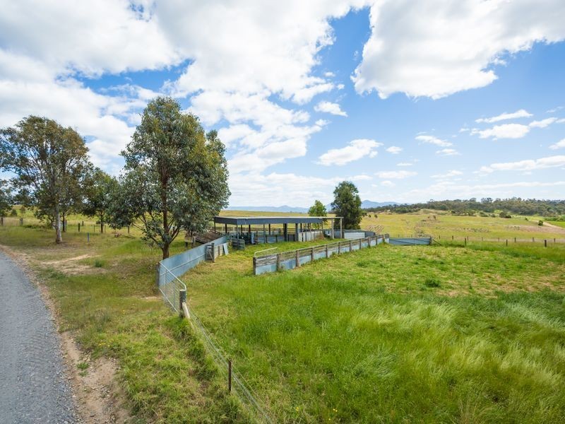455 Slaters Lane, Candelo NSW 2550