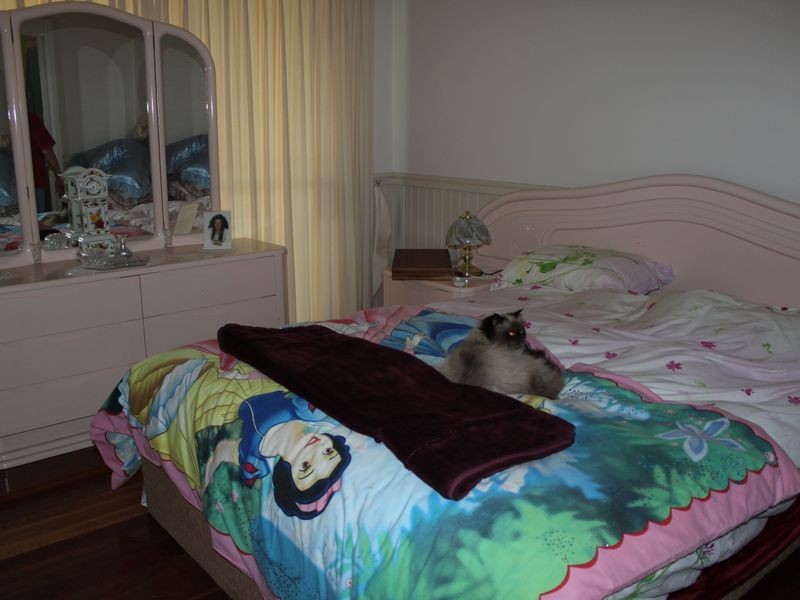 0235 Goughs Road, Yowrie NSW 2550