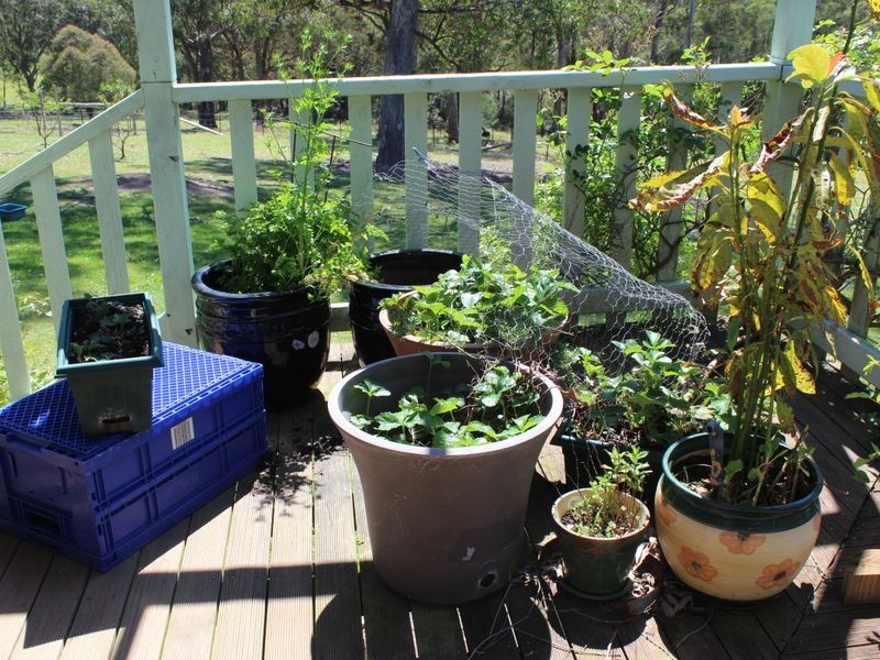 0235 Goughs Road, Yowrie NSW 2550