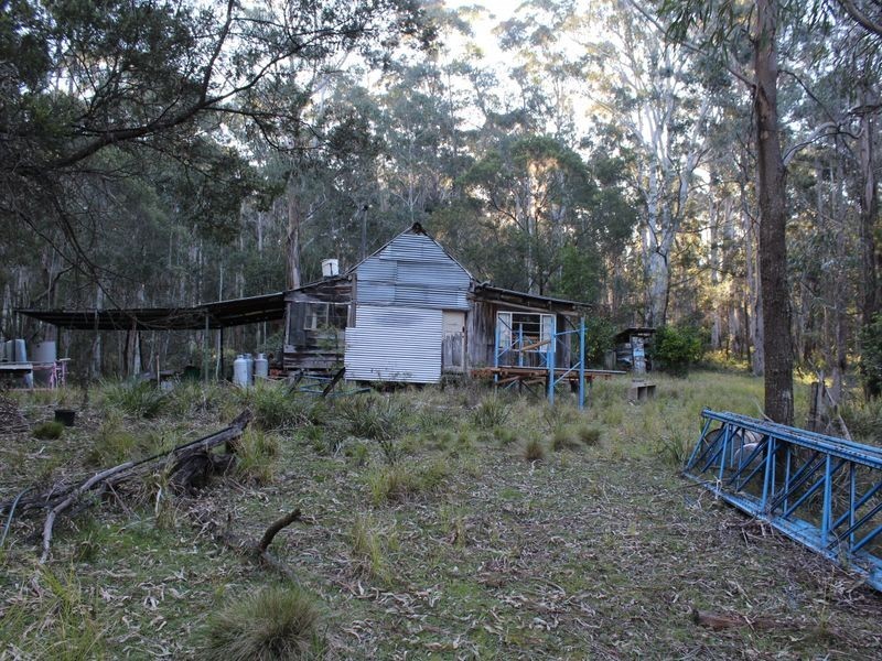 - Grey Myrtle Road, Wyndham NSW 2550