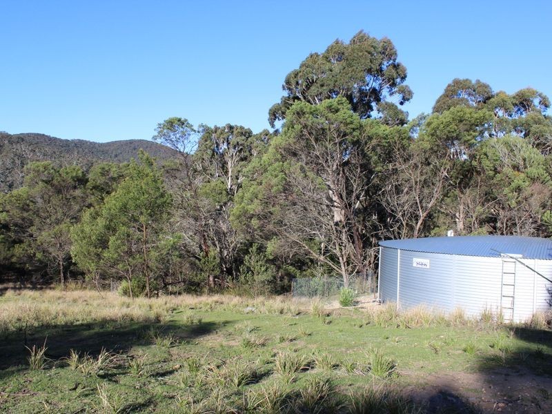 - Grey Myrtle Road, Wyndham NSW 2550